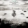 Am See - Jonas Woehl Remix cover art