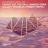 I Won't Let You Fall (Aneesh Gera Galaxy Traveler ambient remix) by Aly & Fila cover art