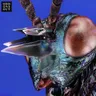 Nova - Cassian Remix cover art