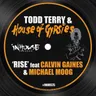 Rise - Inhouse Mix by Todd Terry cover art