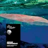 An Undiscovered Paradise by El Búho cover art
