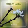 Break Through by Sons Of Maria cover art