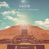 Vibe Quest Remixes album cover