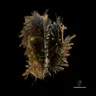Breathe In (Short Mix) cover art