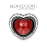 The Ritual by Liquid Soul cover art