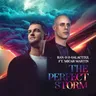 The Perfect Storm by Ran-D cover art