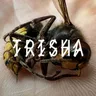 TRISHA cover art