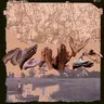 Gullah Geechee cover art