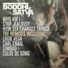 Stop Jealousy - Ancestrumental Mix by Boddhi Satva cover art