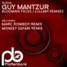 Blooming Fields - Monkey Safari Remix cover art