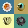 Circulate (Together) cover art