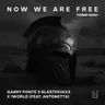 Now We Are Free [THOMM Remix] by Blasterjaxx cover art