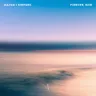 Losing Ground (extended mix) by Sultan + Shepard cover art