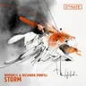 Storm by Worakls cover art