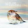 Eistee aus der Dose by Klangkarussell cover art