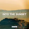 Into the Sunset (feat. KiFi) - Headhunterz Edit cover art
