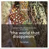 The World That Disappears cover art