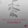 Shanka cover art