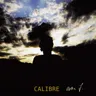 No Reply - Original Mix by Calibre cover art