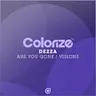 Are You Gone cover art