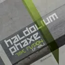 Train Boogie (Haldolium remix) cover art