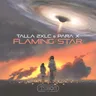 Flaming Star by Talla 2XLC cover art