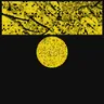 Perfectly Harmeless cover art