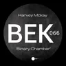Binary Chamber cover art