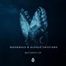 Butterfly (extended mix) cover art