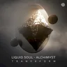Tranceform by Liquid Soul cover art