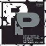 The World You See by Cristoph cover art