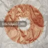 Little Helper 300-6 cover art