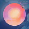 Taking Flight - Colyn Remix cover art