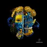 Origin cover art