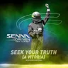 Seek Your Truth (A Vitória) by Meduza cover art