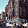 Black Hornet cover art
