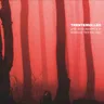 Into the Trees - Live at Roskilde 2007 cover art