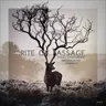 Rite of Passage - Jonnas B Remix cover art