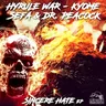 Sincere Hate cover art