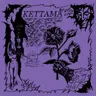 Fly Away XTC by KETTAMA cover art