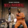 M15/NORMAL cover art