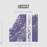 Falling Forward - Sultan + Shepard Extended Mix cover art