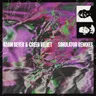 Simulator Mha Iri Remix by Adam Beyer cover art