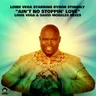 Ain't No Stoppin' Love - Roots Nyc Mix Alt Bkgs by Louie Vega cover art