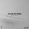 Won't Let You Down (Culoe De Song Remix) by Culoe De Song cover art
