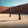 Magic Me - CamelPhat Remix cover art