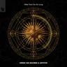 What Took You so Long by Armin van Buuren cover art