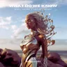 What Do We Know by Nihil Young cover art