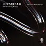 Lifestream - Chris Liebing Remix cover art