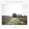 Reminiscence by Jonas Saalbach cover art